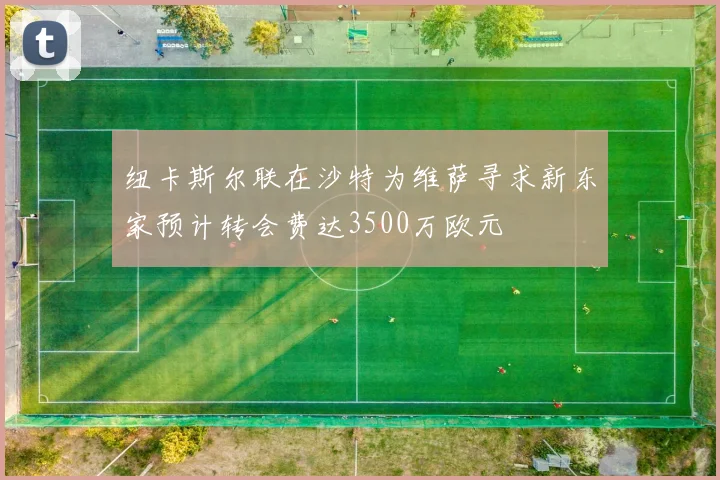 纽卡斯尔联在沙特为维萨寻求新东家预计转会费达3500万欧元